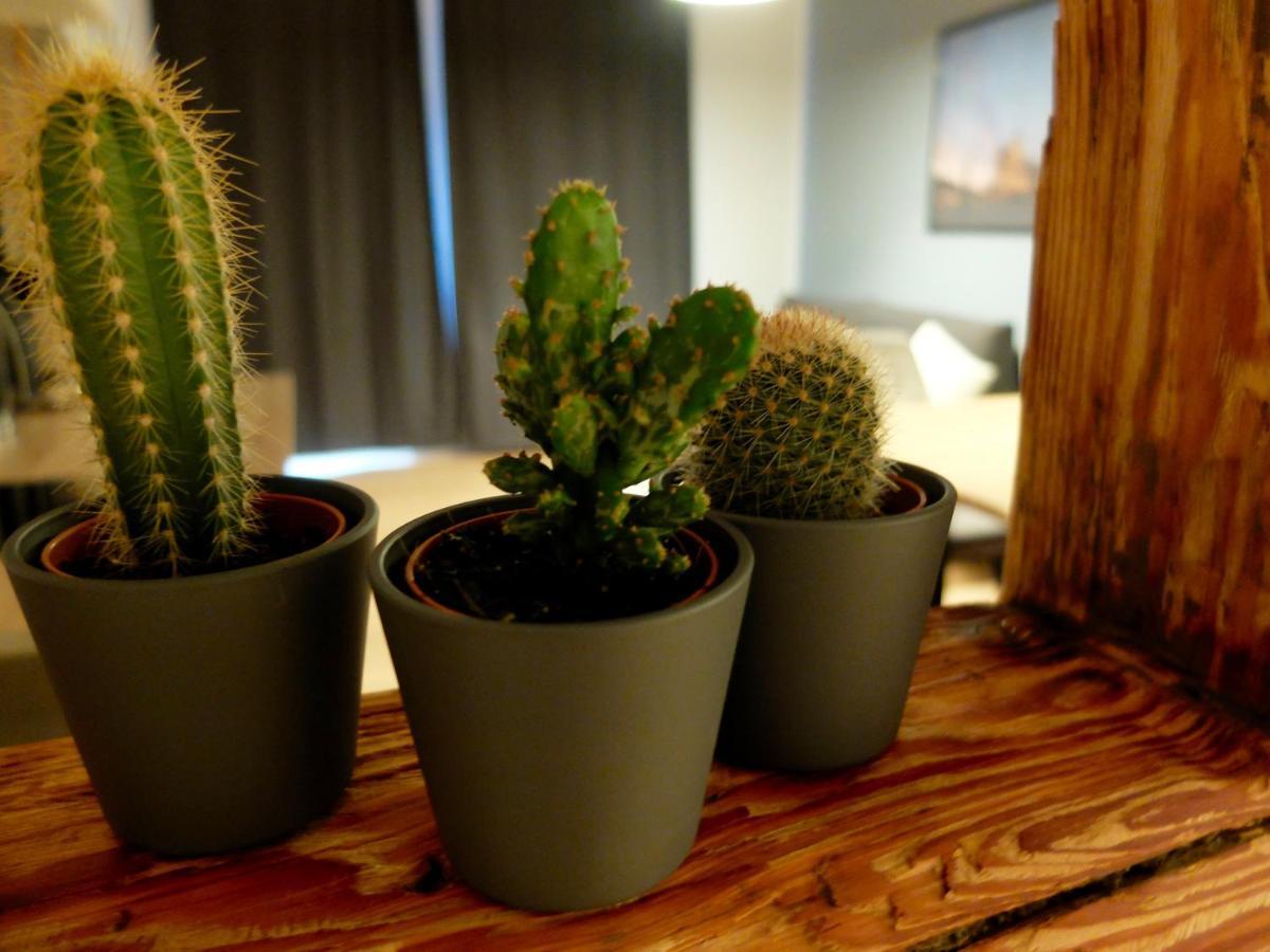 Apartamento Altstadt
